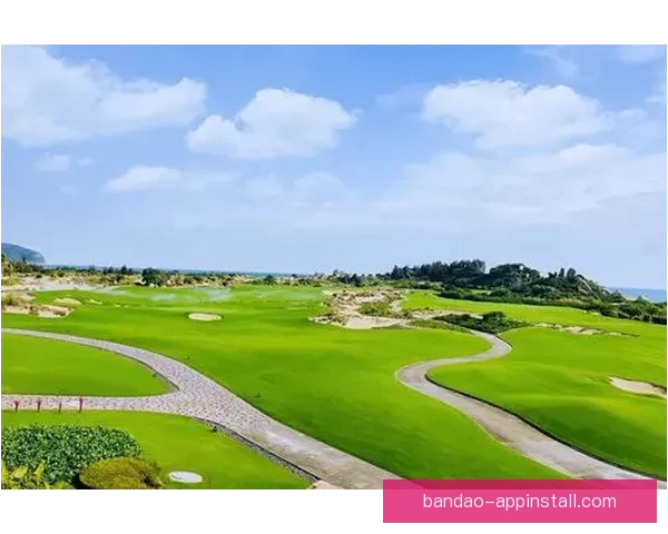 半岛体育助力国内体育产业发展打造全新体育生态圈